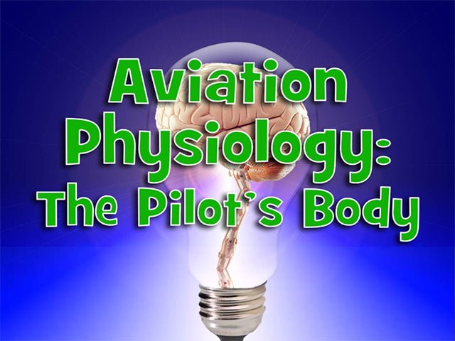 A lightbulb with a human brain and spinal cord illuminates the scene. Overlay text reads: "Aviation Physiology: The Pilot’s Body." Discover Rod Machado's Instrument Pilot eGround School from Rod Machado's Aviation Learning Center to learn how pilots master navigating the skies.
