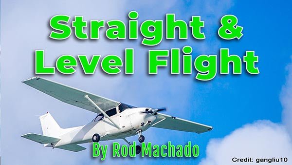 Cover of the 'How to Fly an Airplane eCourse' by Rod Machado's Aviation Learning Center featuring a light aircraft against a blue sky with clouds, emphasizing the ACS standards.